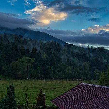 Pensiunea Mara *** Hotel Borsa  Bagian luar foto