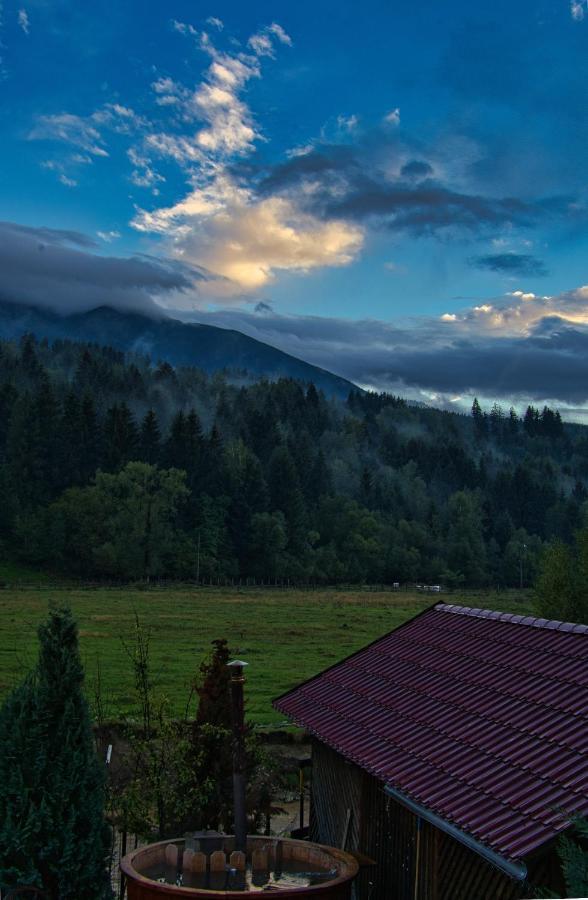 Pensiunea Mara *** Hotel Borsa  Bagian luar foto